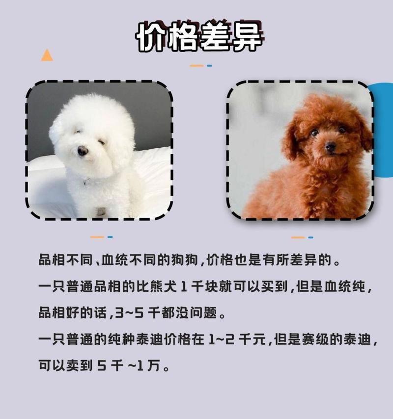 怀孕比熊犬笼养好还是散养好？哪种方式更适宜？