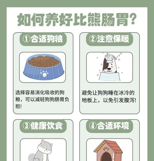 比熊犬每次喂食多少鸡蛋黄是合适的？鸡蛋黄对比熊有哪些好处？