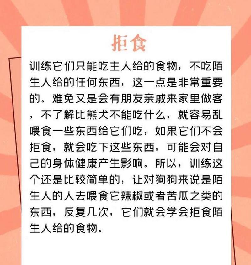 如何训练比熊犬一天只喂食一次？需要哪些步骤？