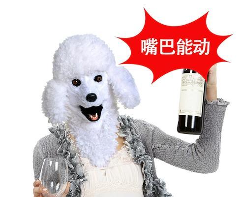 哪些贵宾犬品种适合戴动物头套？如何选择合适的头套？