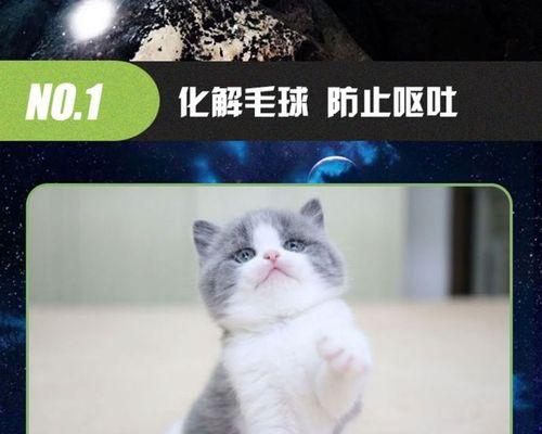 两个月大的暹罗猫应该吃多少猫粮？如何制定喂食计划？