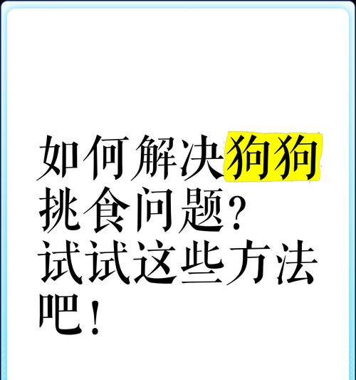 狗狗不爱吃狗粮怎么办？训练狗狗多吃狗粮的有效方法？