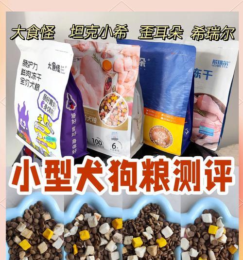 比熊犬何时适合开始喂食干狗粮？喂干食的正确时机是什么？