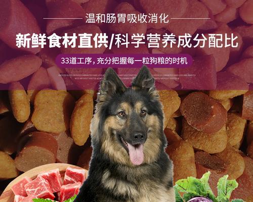 古牧幼犬每天应该吃多少狗粮？如何确定合适的食量？