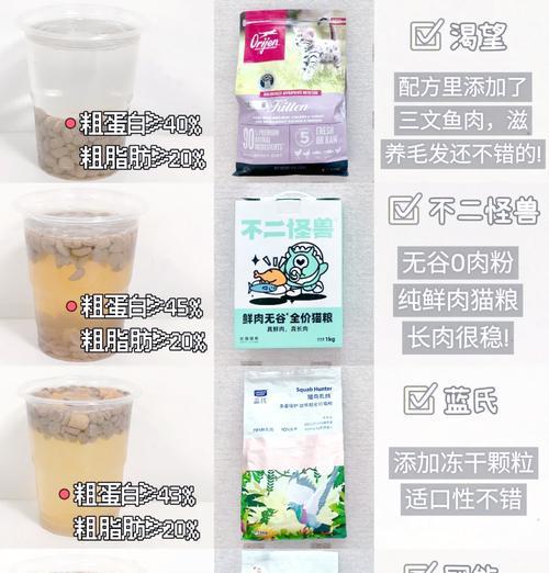 幼猫吃猫粮的间隔时间应该是多久？如何制定喂食计划？