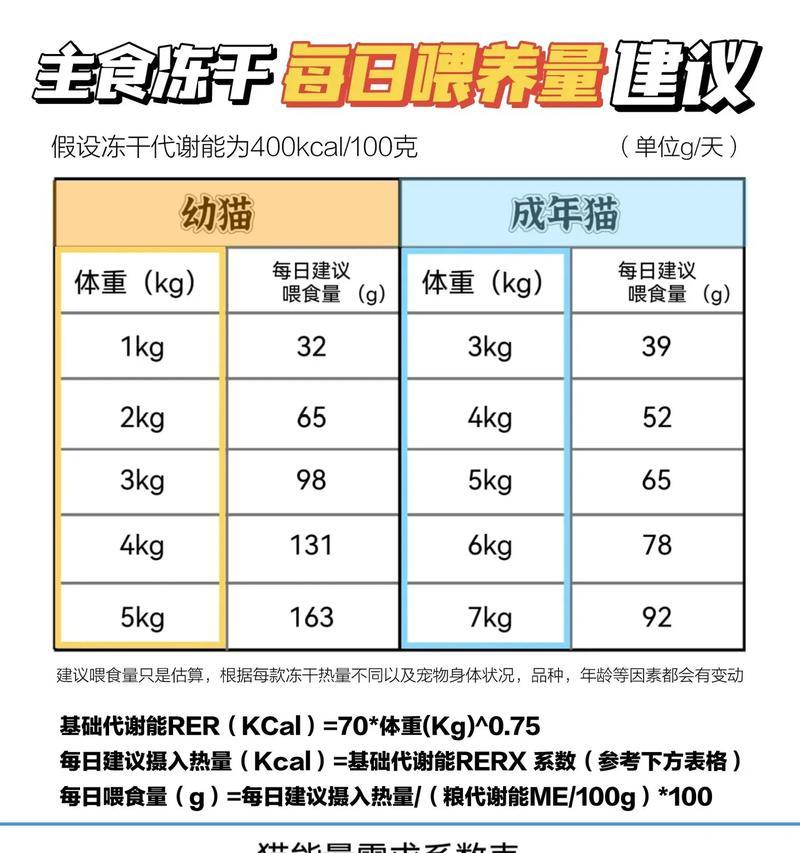 幼猫吃猫粮的间隔时间应该是多久？如何制定喂食计划？