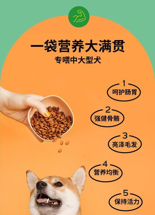 大型犬每月狗粮消耗量是多少？如何确定最佳食量？