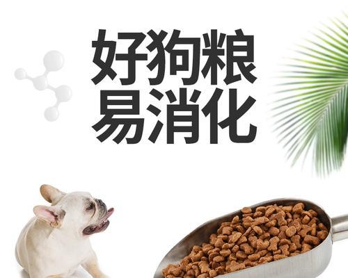 大型犬每月狗粮消耗量是多少？如何确定最佳食量？