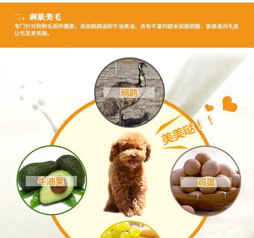 五个月比熊犬食用炖鸡蛋的营养价值？