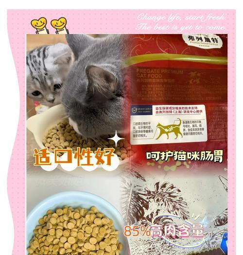 哪些品牌的猫粮对加菲猫肠胃更友好？