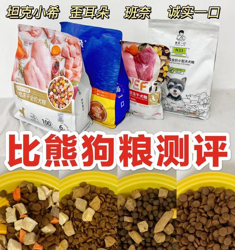 比熊坐月子期间饮食选择？狗粮是否适宜？