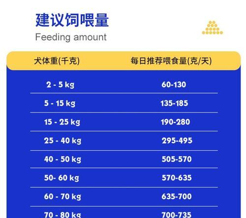 比熊幼犬换狗粮的时机？如何正确喂食干粮？