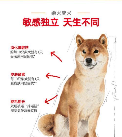 柴犬吐狗粮：两个月大时什么原因？