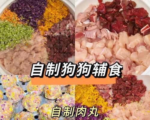 4个月大的比熊每天应吃多少鸡胸肉？喂食指南是什么？