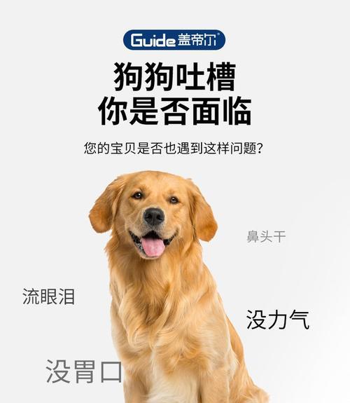 两只小型犬吃十公斤狗粮能吃多久？如何计算？