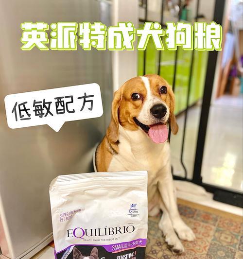 狗粮选择需考虑犬种大小吗？如何挑选合适狗粮？