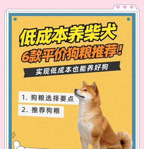 柴犬喂食指南：两三个月大应喂多少狗粮？