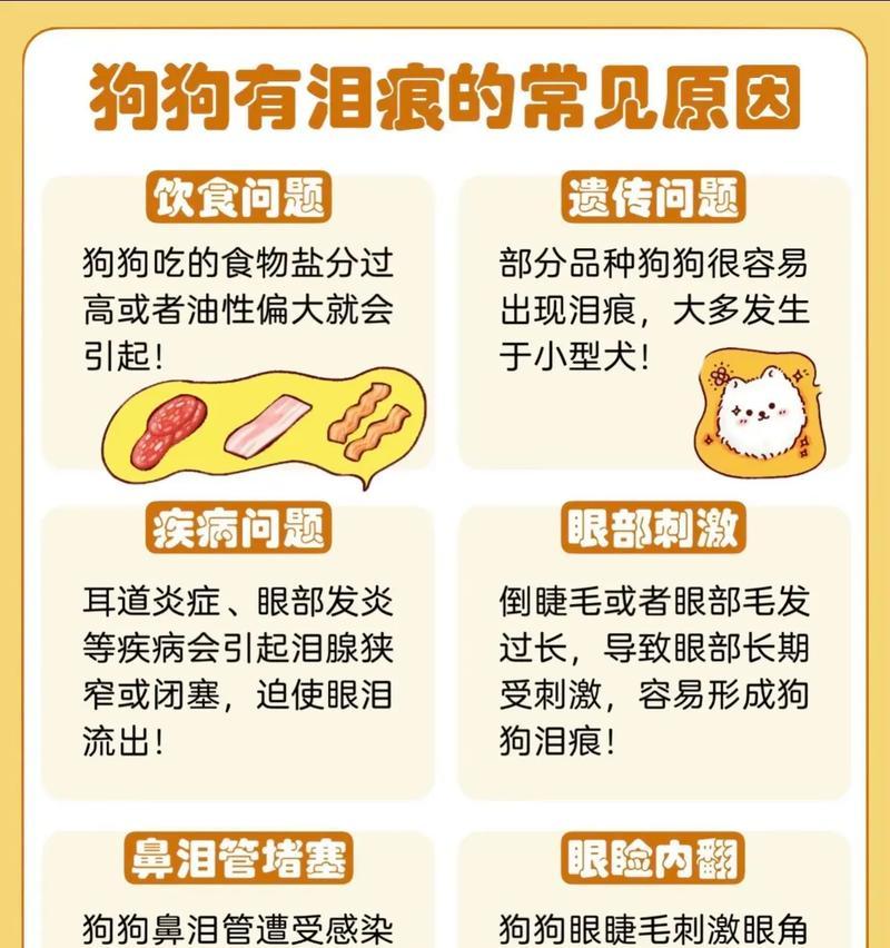 比熊吃生鸡胸肉会导致泪痕吗？如何解决这个问题？