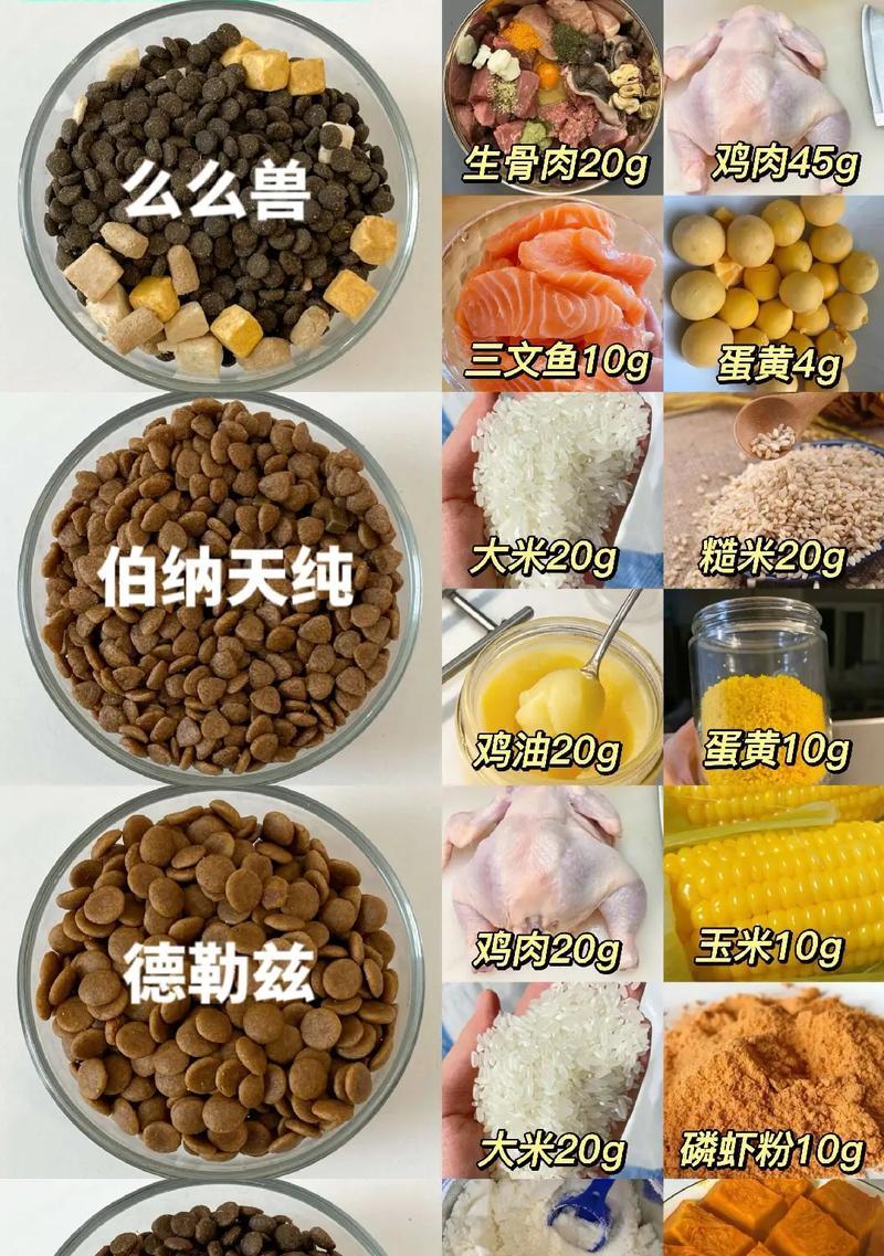 训练狗狗定点吃狗粮的最佳方法是什么？