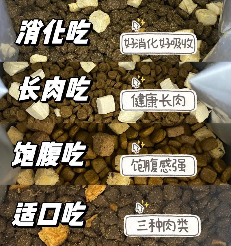 狗粮和大米混合对狗狗有害吗？