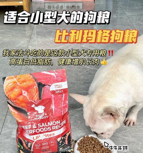 四个多月小型犬每天应该吃多少狗粮？如何合理安排饮食？