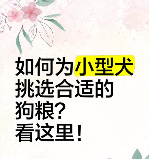 四个多月小型犬每天应该吃多少狗粮？如何合理安排饮食？