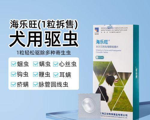 比熊犬拉蛔虫时如何处理？有哪些有效的小妙招？