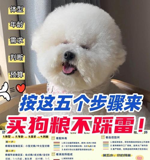 大型犬吃五斤狗粮够吗？如何根据犬种选择合适的狗粮量？