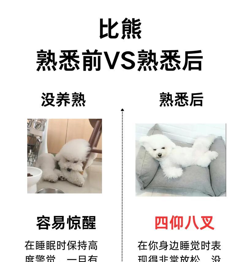 一岁以下比熊能吃鸭肝吗？鸭肝对幼犬有何影响？