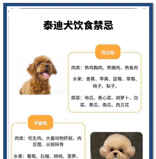 泰迪幼犬什么都吃却拒绝狗粮怎么办？如何改善饮食习惯？