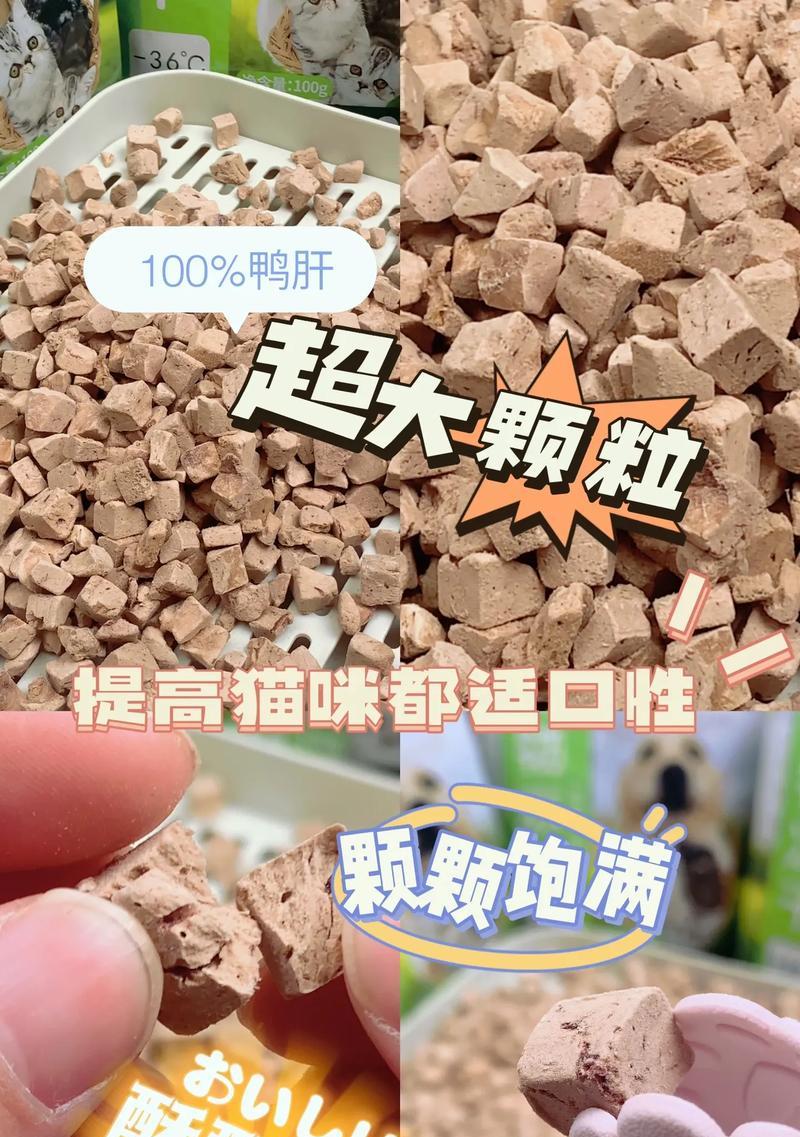 比熊狗狗能吃鸭肝吗？一岁半的比熊可以吃鸭肝吗？