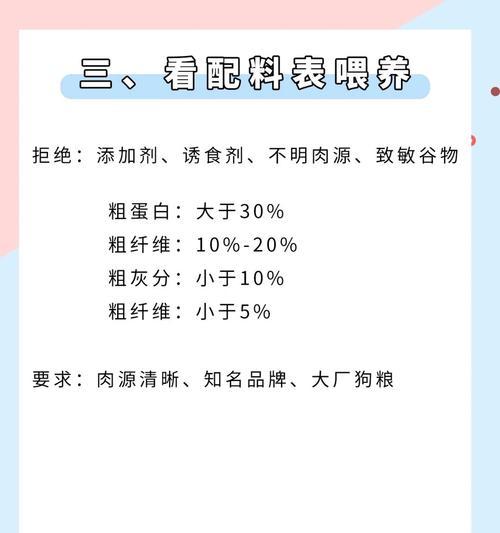 2个月小比熊每天应该喂多少狗粮？一天喂几次合适？