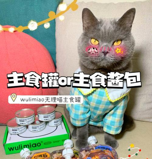 猫粮和主食罐头有何区别？哪种更适合猫咪？