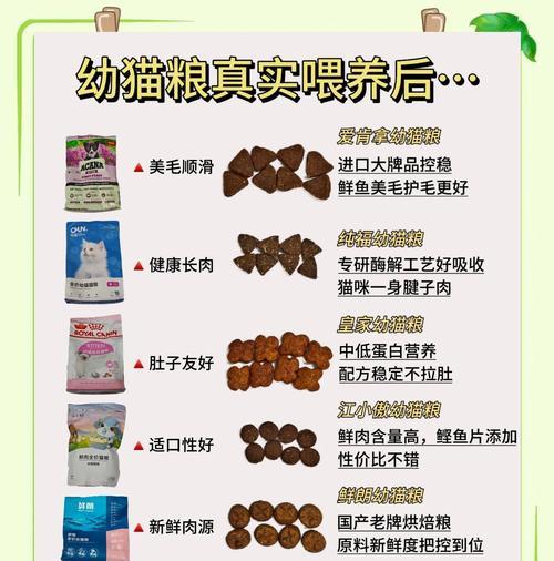 幼猫每日猫粮摄入量应为多少？