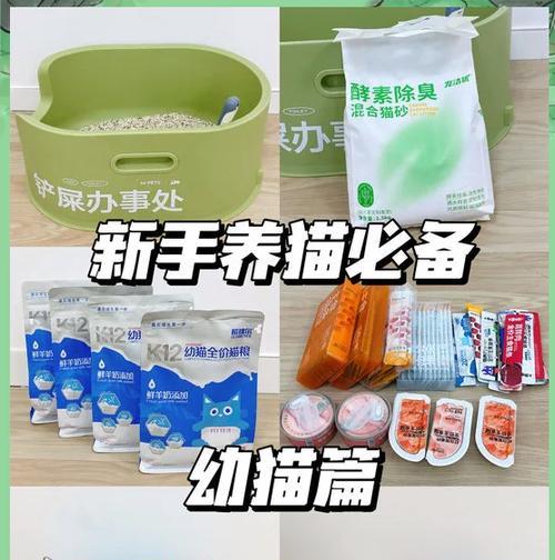 暹罗猫六个月大一天应吃多少猫粮？如何确定合适的食量？