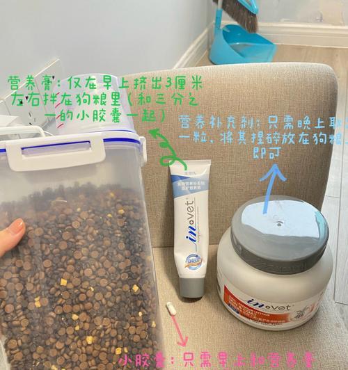 三个月大的小比熊喂食方法是什么？