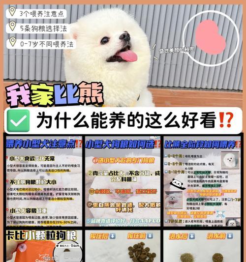 比熊幼犬食量过大有危险吗？如何控制喂食量？