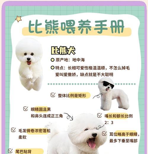 比熊犬几个月大时会因笼养而叫？如何减少笼养的不适？