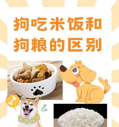 狗粮3斤能为中型犬提供多久的营养？