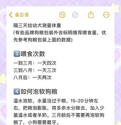 两个月小比熊的喂食计划是怎样的？最佳喂养频率？