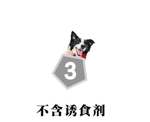 古牧幼犬喂食量：每天多少狗粮才算合适？