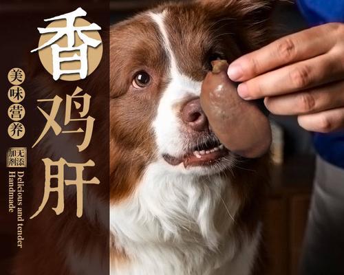 比熊可以吃鸡肝拌狗粮吗？如何简单制作鸡肝拌狗粮？