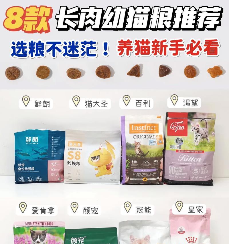 幼猫吃猫粮要吃多少次才好？如何制定合适的喂食计划？