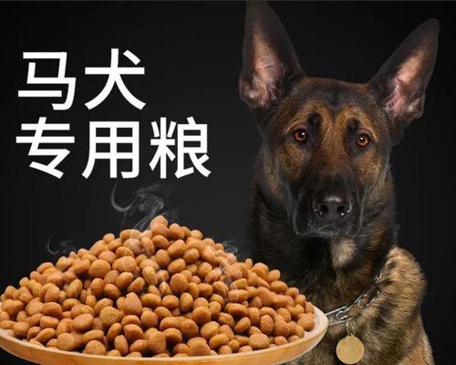 中型犬消耗40斤狗粮需要多长时间？