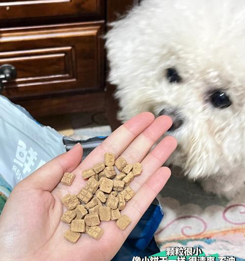 比熊犬长期吃狗粮是否健康？需要补充其他食物吗？