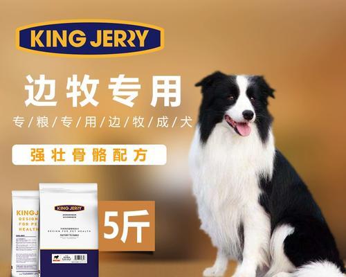 中型犬一顿饭应该喂多少克狗粮？如何确定合适的喂食量？