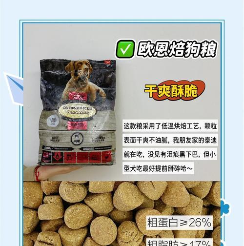 比熊犬在哺乳期是否可以继续喂食狗粮？