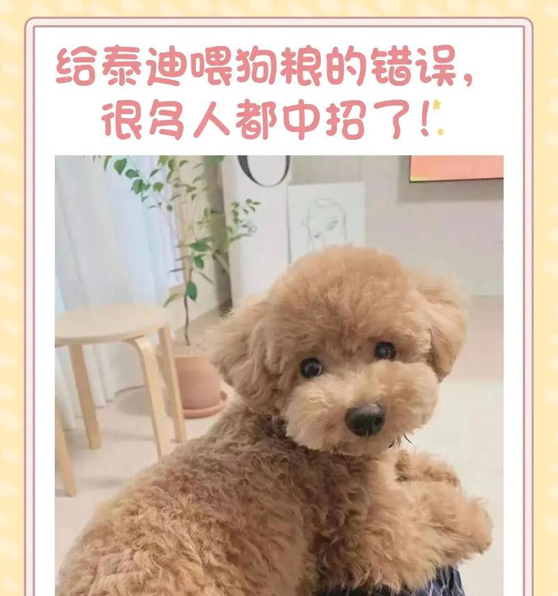 7个月的泰迪突然不爱吃狗粮？是什么原因导致的？