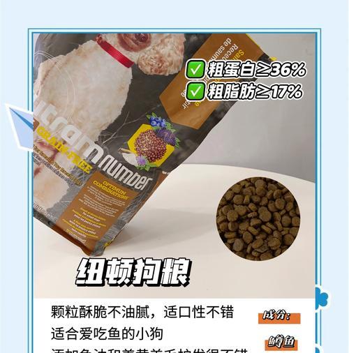 小型犬每日应摄入多少狗粮？如何确定合适的喂食量？