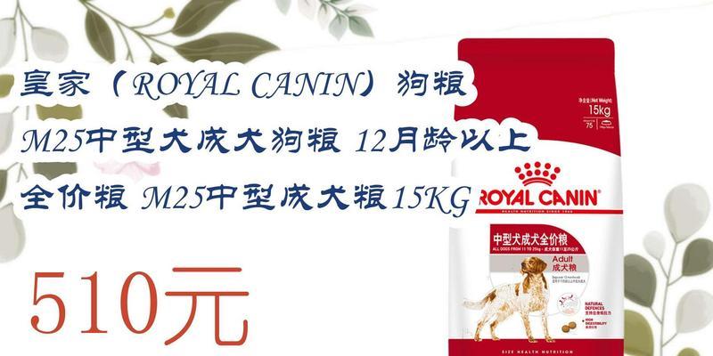 四个月大的中型犬应该喂多少狗粮？如何制定喂食计划？